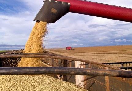 MT:  IMPULSIONADO PELA CHINA:    Com tarifaço, exportações do Estado crescem em setembro: