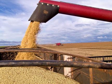 MT:  IMPULSIONADO PELA CHINA:    Com tarifaço, exportações do Estado crescem em setembro: