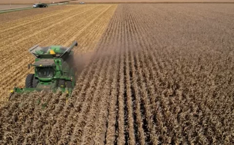 CIÊNCIA:   Agroterrorismo: como a IA transforma a biotecnologia em arma