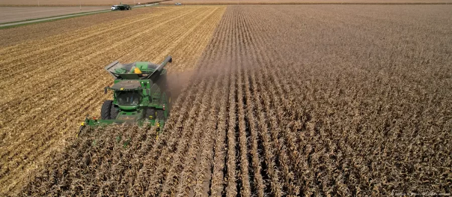 CIÊNCIA:   Agroterrorismo: como a IA transforma a biotecnologia em arma