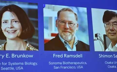 CIÊNCIA:  Nobel de Medicina premia pesquisa sobre sistema imunológico