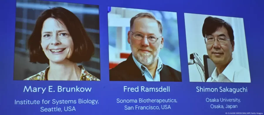 CIÊNCIA:  Nobel de Medicina premia pesquisa sobre sistema imunológico