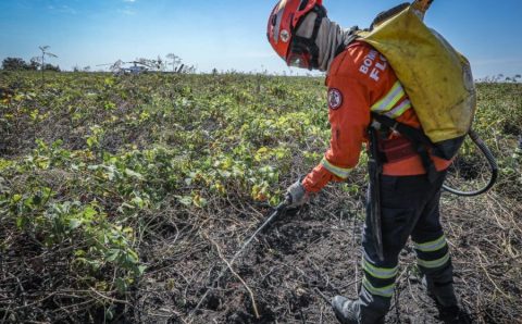 Corpo de Bombeiros combate 11 incêndios florestais nesta quarta-feira (22)