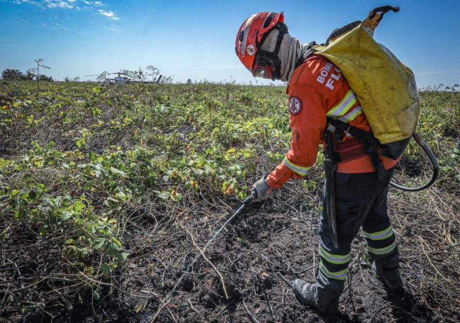 Corpo de Bombeiros combate 11 incêndios florestais nesta quarta-feira (22)