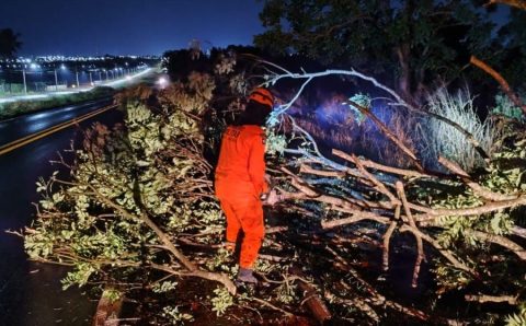 Corpo de Bombeiros retira galhos de árvore que caíram em rodovia