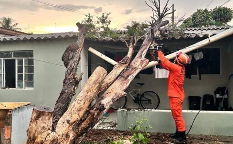 Corpo de Bombeiros remove árvore que caiu sobre residência após forte chuva em Primavera do Leste
