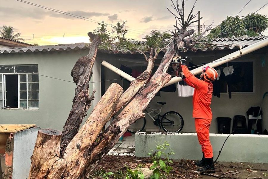 Corpo de Bombeiros remove árvore que caiu sobre residência após forte chuva em Primavera do Leste