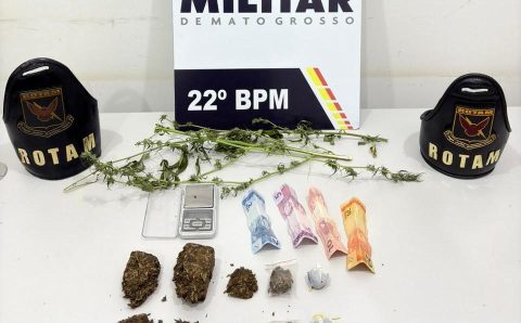 Rotam prende faccionado com porções de maconha e mudas de cannabis