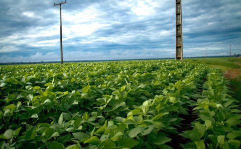 MT:  Aprosoja MT participa de audiência sobre concessão da Energisa e reforça cobrança por melhorias no campo