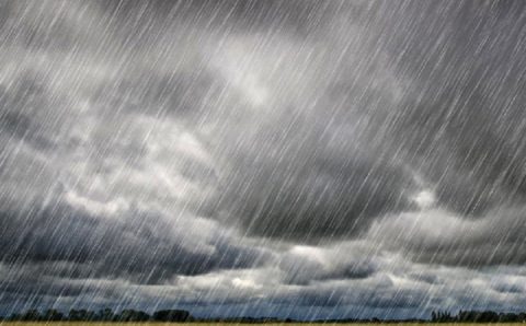 MT:  Chuvas renovam ânimo dos produtores e impulsionam avanço do plantio da soja em Lucas do Rio Verde e região