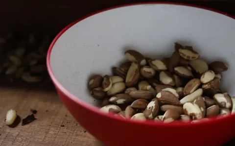 Agricultura familiar do Nordeste vai à maior feira mundial alimentos