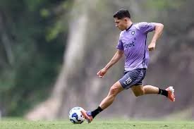 Botafogo se reapresenta e inicia preparação para pegar o Mirassol