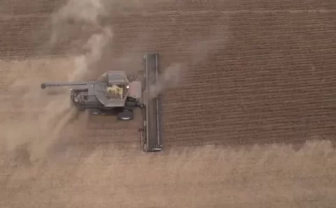 MT:   Agricultores pioneiros revelam como MT virou o maior produtor de soja no Brasil