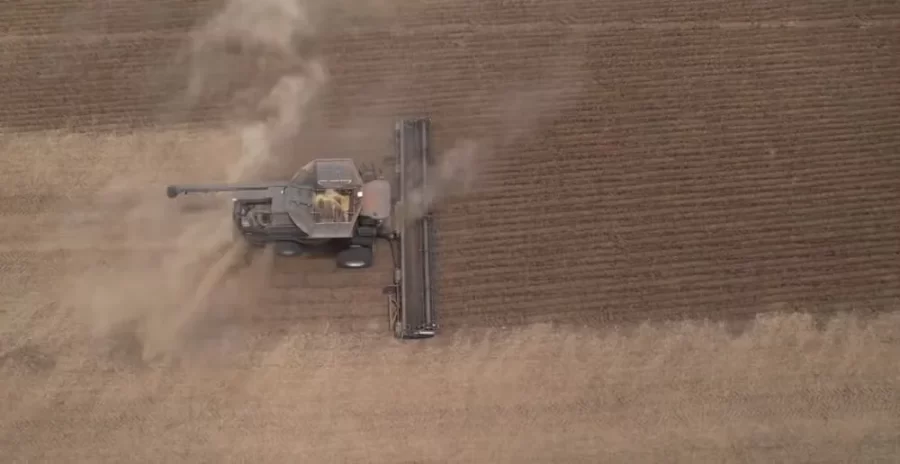 MT:   Agricultores pioneiros revelam como MT virou o maior produtor de soja no Brasil