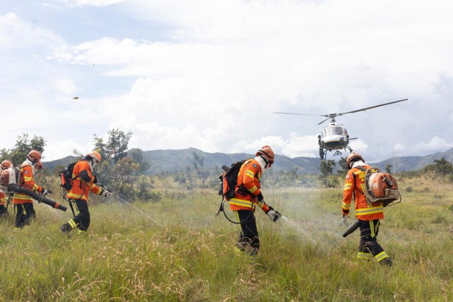 Corpo de Bombeiros combate 11 incêndios florestais nesta terça-feira (21)