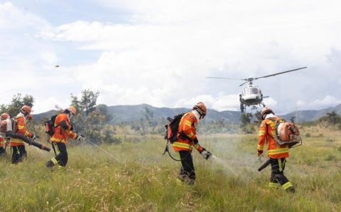 Corpo de Bombeiros combate 18 incêndios florestais neste domingo (5)