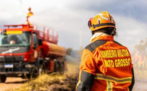 Corpo de Bombeiros combate 24 incêndios florestais nesta terça-feira (7)