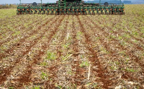 MT:  CenárioMT > Cenário Agro > Semeadura da soja ultrapassa 43% em Mato Grosso e avança acima da média histórica Cenário Agro Semeadura da soja ultrapassa 43% em Mato Grosso e avança acima da média histórica
