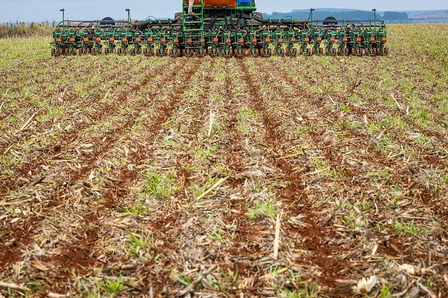 MT:  CenárioMT > Cenário Agro > Semeadura da soja ultrapassa 43% em Mato Grosso e avança acima da média histórica Cenário Agro Semeadura da soja ultrapassa 43% em Mato Grosso e avança acima da média histórica