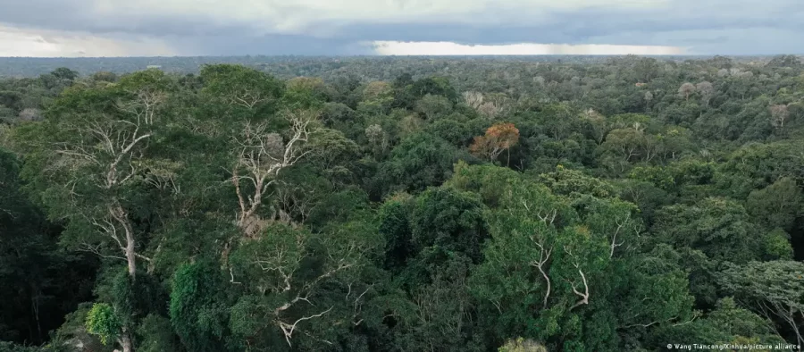 Alemanha anuncia € 1 bi para fundo de florestas do Brasil