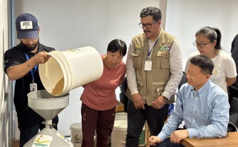 MT:  Em Sinop, delegação chinesa conhece de perto a produção agrícola de Mato Grosso