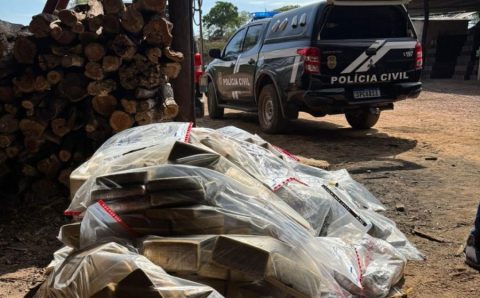 Polícia Civil incinera mais de 1,1 toneladas de entorpecentes apreendidos na região de fronteira
