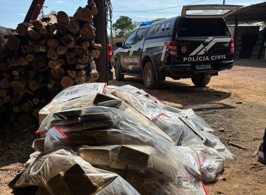 Polícia Civil incinera mais de 1,1 toneladas de entorpecentes apreendidos na região de fronteira