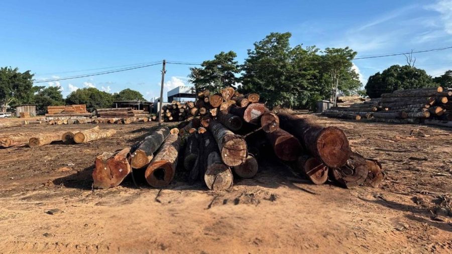 Polícia Civil deflagra 2ª fase da investigação que apura crime de extração ilegal de madeira em Juína