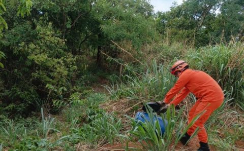 Corpo de Bombeiros é acionado para resgatar cobra caninana que entrou em residência