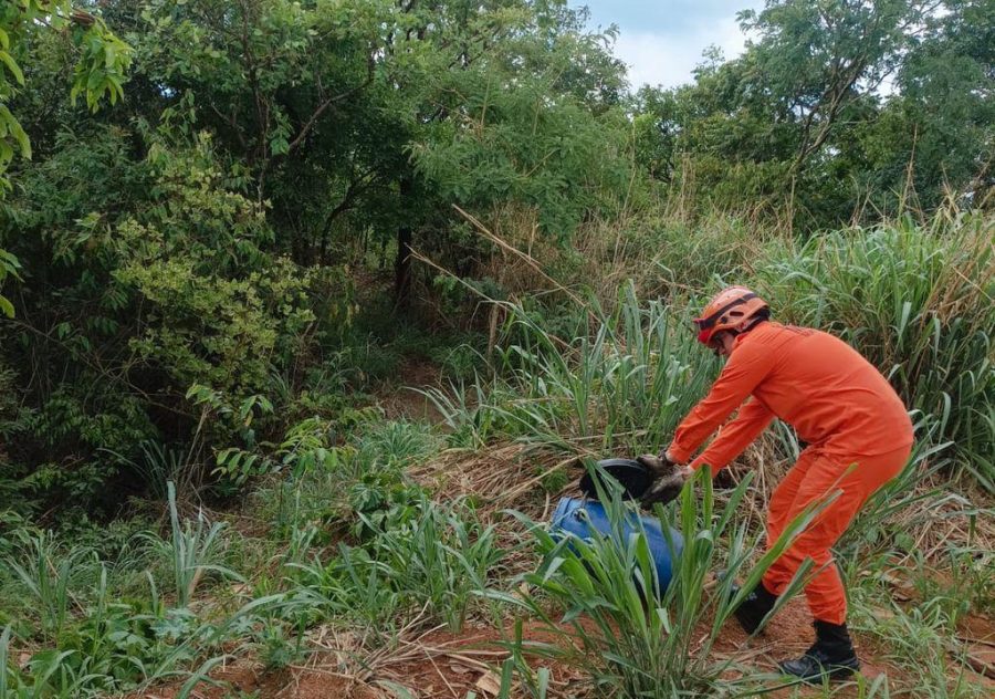 Corpo de Bombeiros é acionado para resgatar cobra caninana que entrou em residência