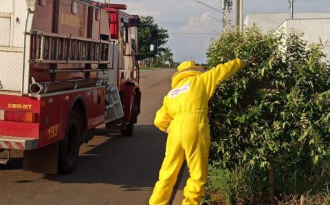 Corpo de Bombeiros registra aumento de 55,4% nas ocorrências com insetos agressivos em MT