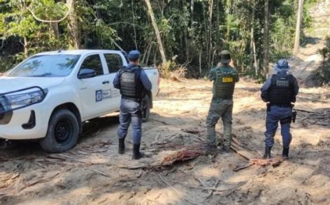Sema apreende maquinário e aplica R$ 130 mil em multas por desmate ilegal em Apiacás