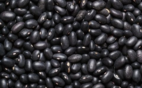 Após negociações, produtores brasileiros poderão exportar para mercados dos Emirados Árabes e Líbano