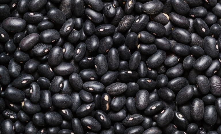 Após negociações, produtores brasileiros poderão exportar para mercados dos Emirados Árabes e Líbano