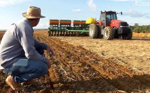 AGRO:  Safra de grãos deve cair em 2026, após recorde em 2025, projeta IBGE