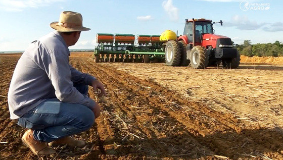 AGRO:  Safra de grãos deve cair em 2026, após recorde em 2025, projeta IBGE