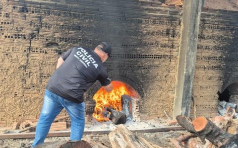Polícia Civil incinera entorpecentes apreendidos em Alto Boa Vista