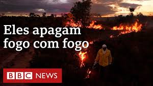 As queimadas que preservam a natureza usadas há séculos por quilombolas