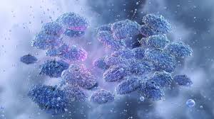 Doenças da Idade Média continuam circulando e fazendo vítimas; saiba mais