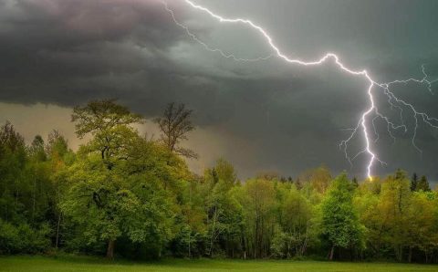 Chuvas irregulares marcam novembro em Mato Grosso e influenciam avanço da safra 2025/26