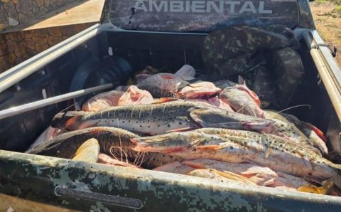 Polícia Militar apreende mais de 1 tonelada de pescado irregular em Rondonópolis