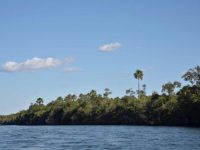 MT:  POVO MANOKI:   Movimento indígena e organizações refutam falas do governador de MT sobre territórios homologados