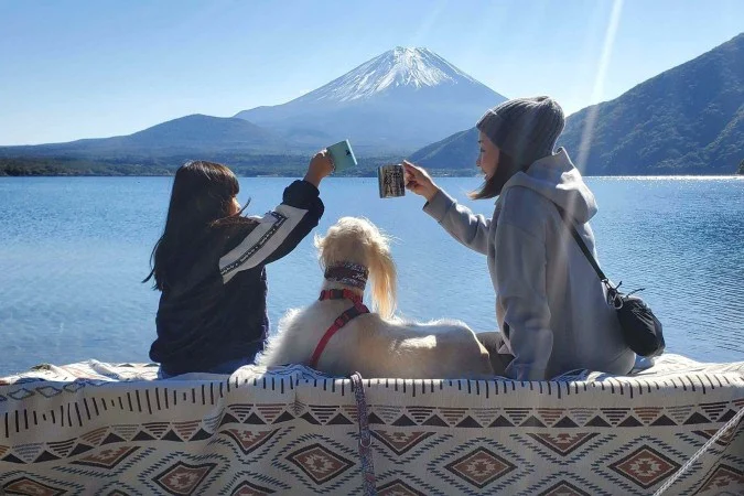 Ter um cão melhora a saúde mental de adolescentes, mostra pesquisa