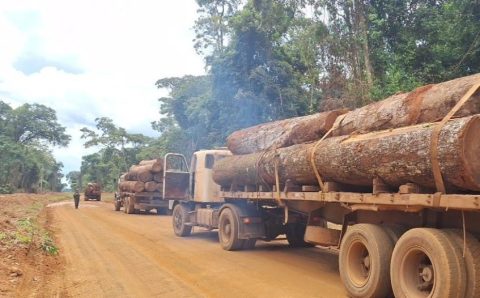 Polícia Militar apreende mais de 100m³ de madeira ilegal em Feliz Natal
