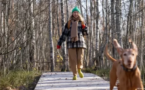 CIÊNCIA:   Cachorros têm “sexto sentido” para salvar donos de perigo?