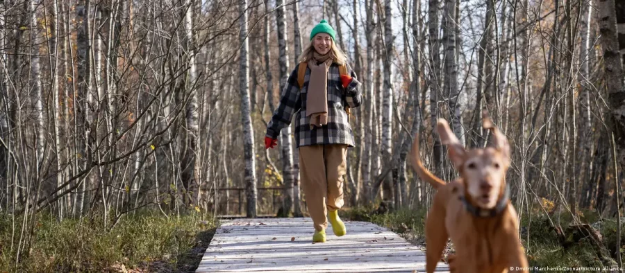 CIÊNCIA:   Cachorros têm “sexto sentido” para salvar donos de perigo?
