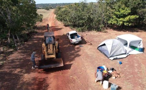 Mapa confirma caso de gripe aviária em Cuiabá; Indea adota medidas para conter foco