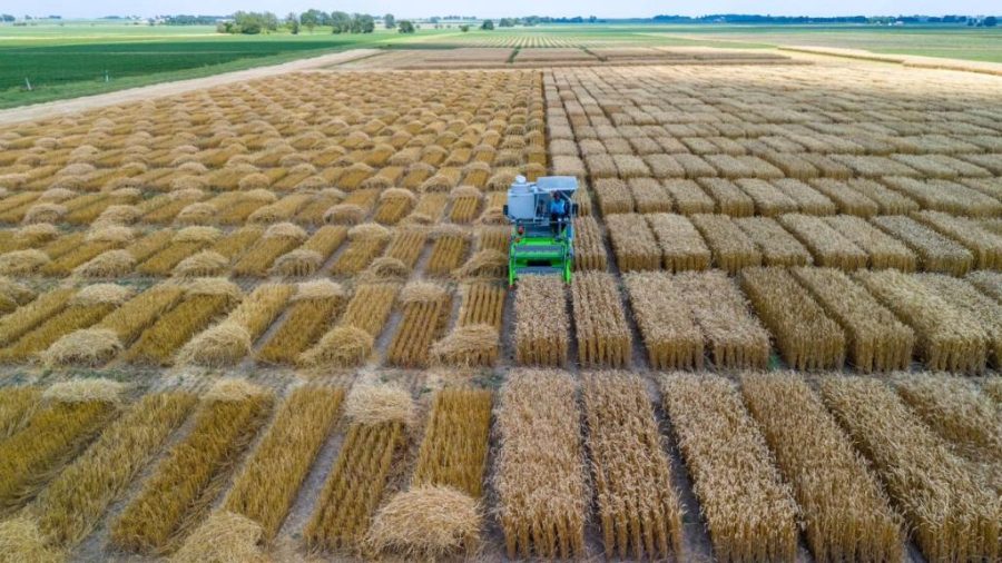 Internacionalização da Unemat vai da sala de aula ao “Cinturão do Milho” nos Estados Unidos
