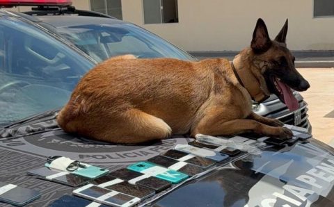 Tolerância Zero no Sistema Penitenciário resulta em 1.048 operações para remoção de materiais ilícitos