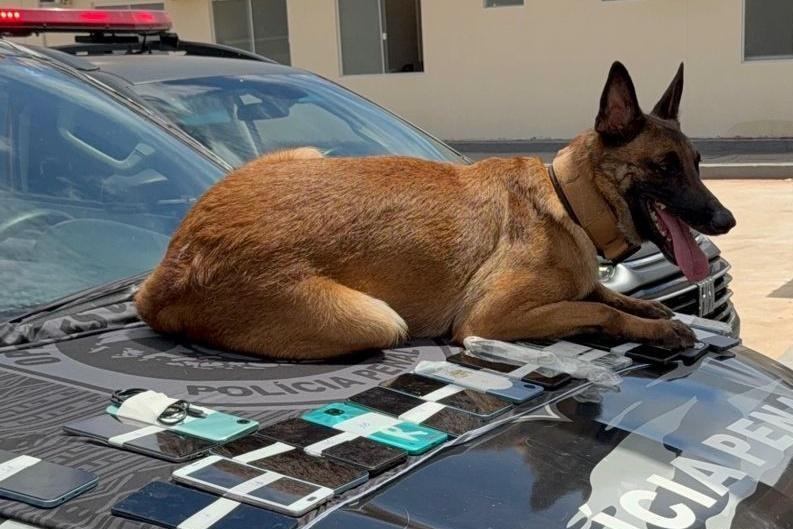 Tolerância Zero no Sistema Penitenciário resulta em 1.048 operações para remoção de materiais ilícitos